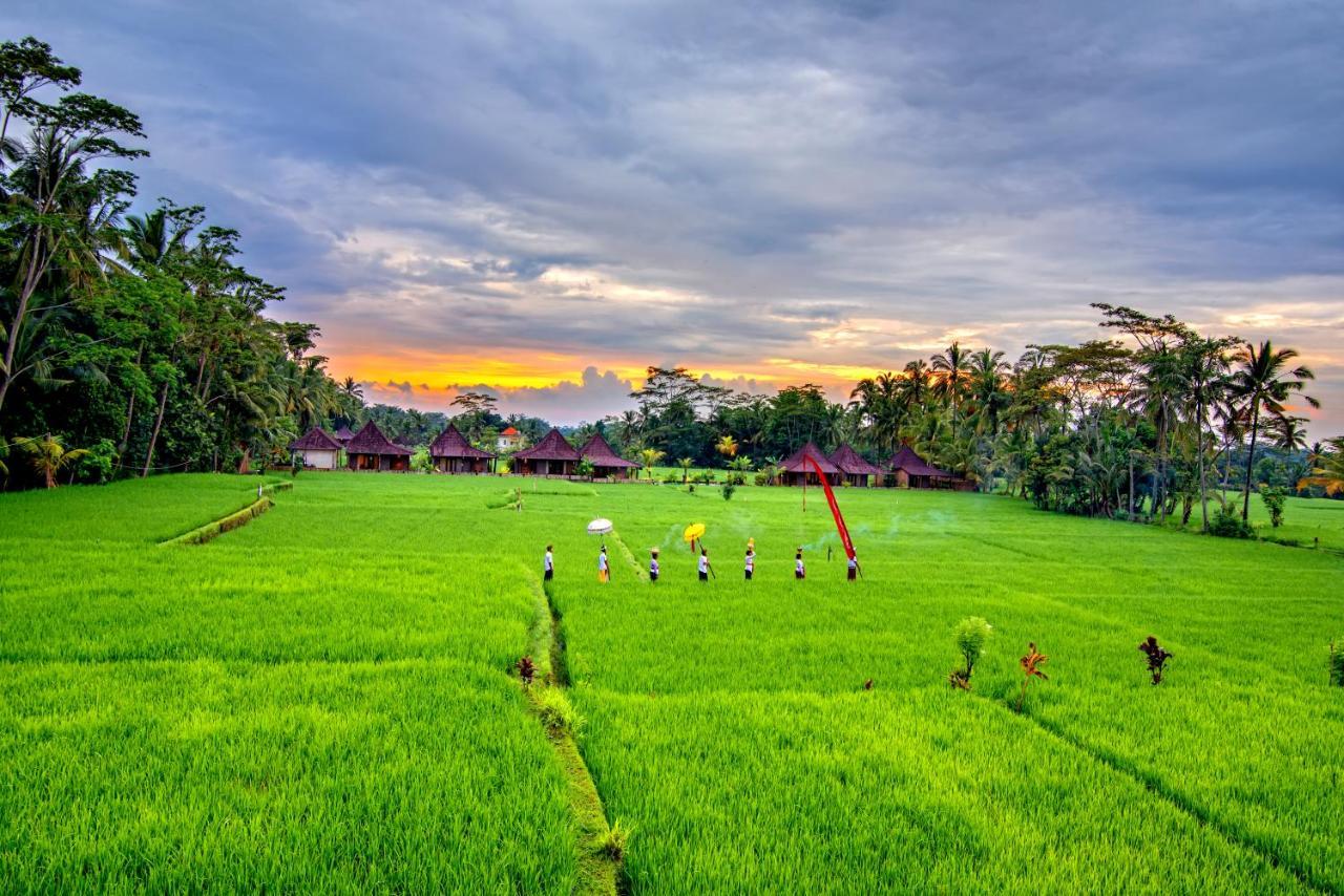 Intan Villa & Suite Ubud Kültér fotó