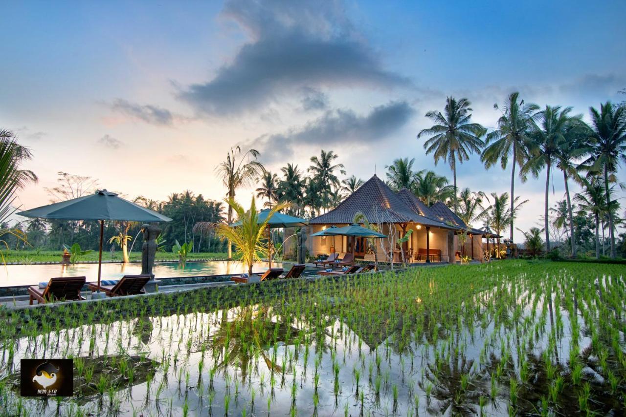 Intan Villa & Suite Ubud Kültér fotó