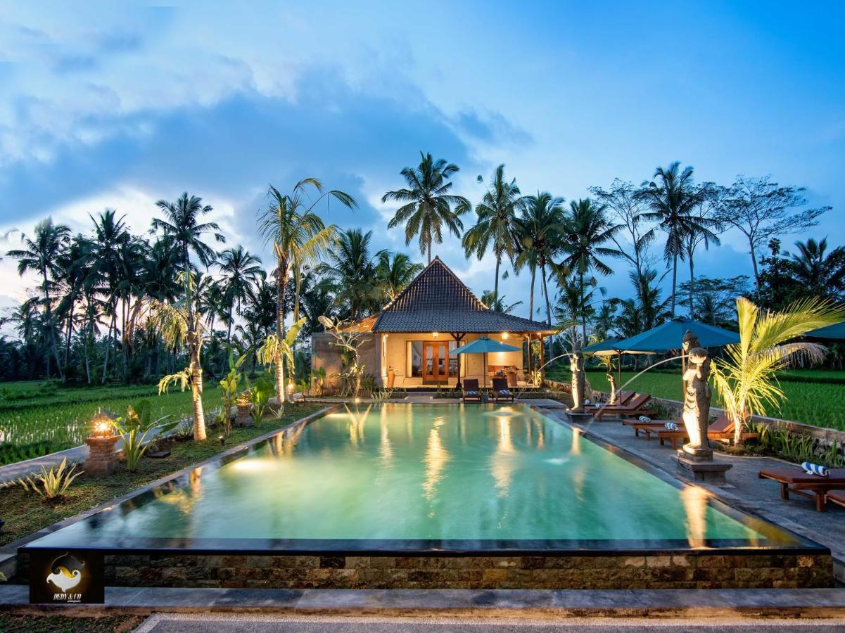 Intan Villa & Suite Ubud Kültér fotó