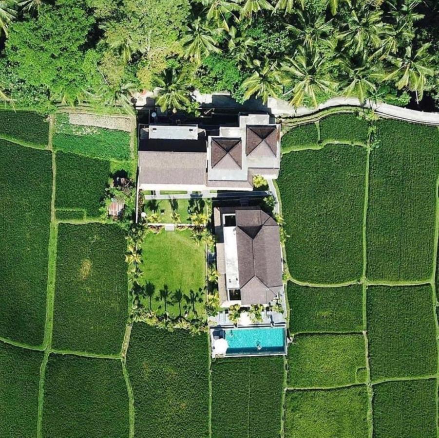 Intan Villa & Suite Ubud Kültér fotó
