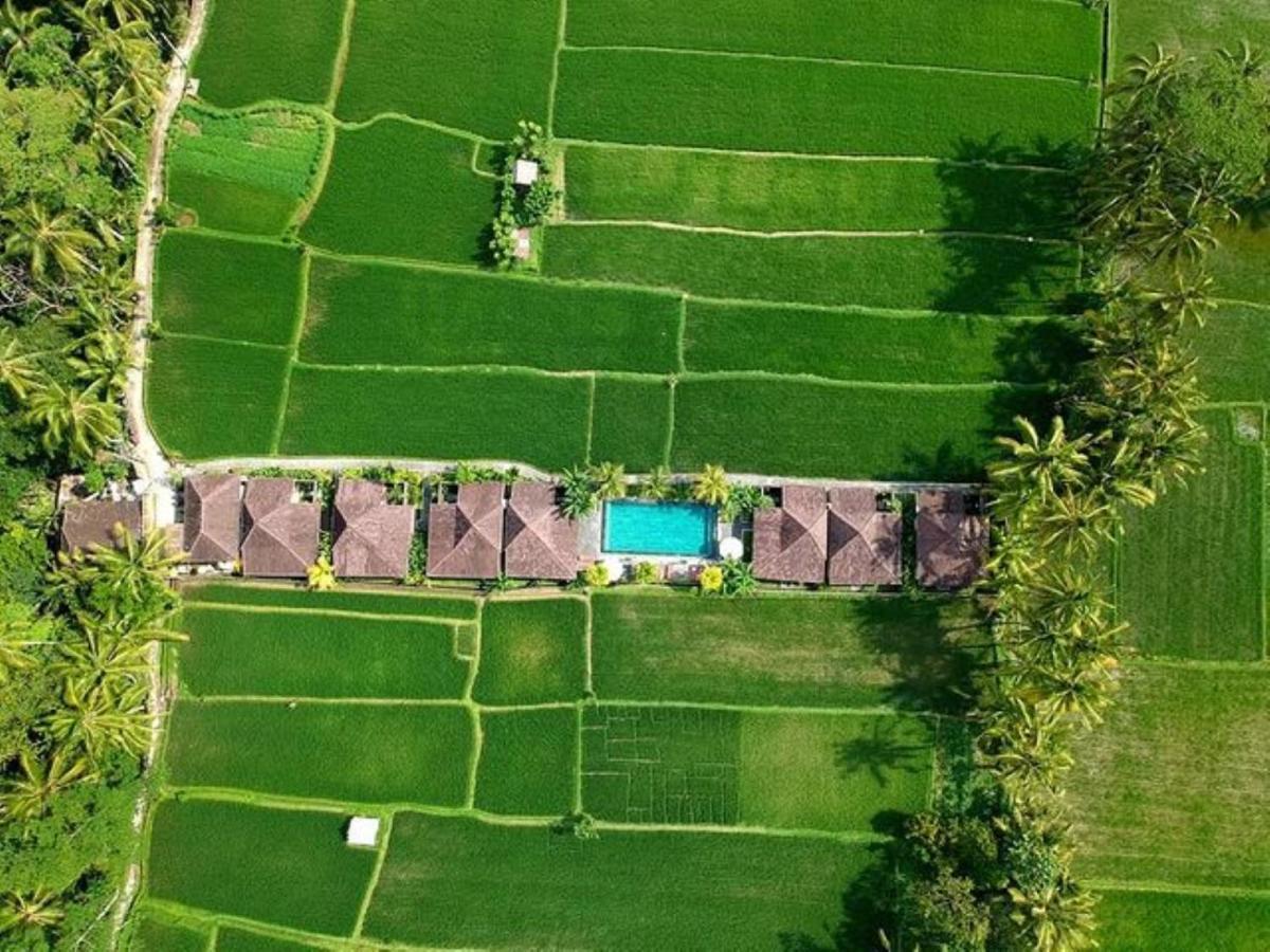 Intan Villa & Suite Ubud Kültér fotó